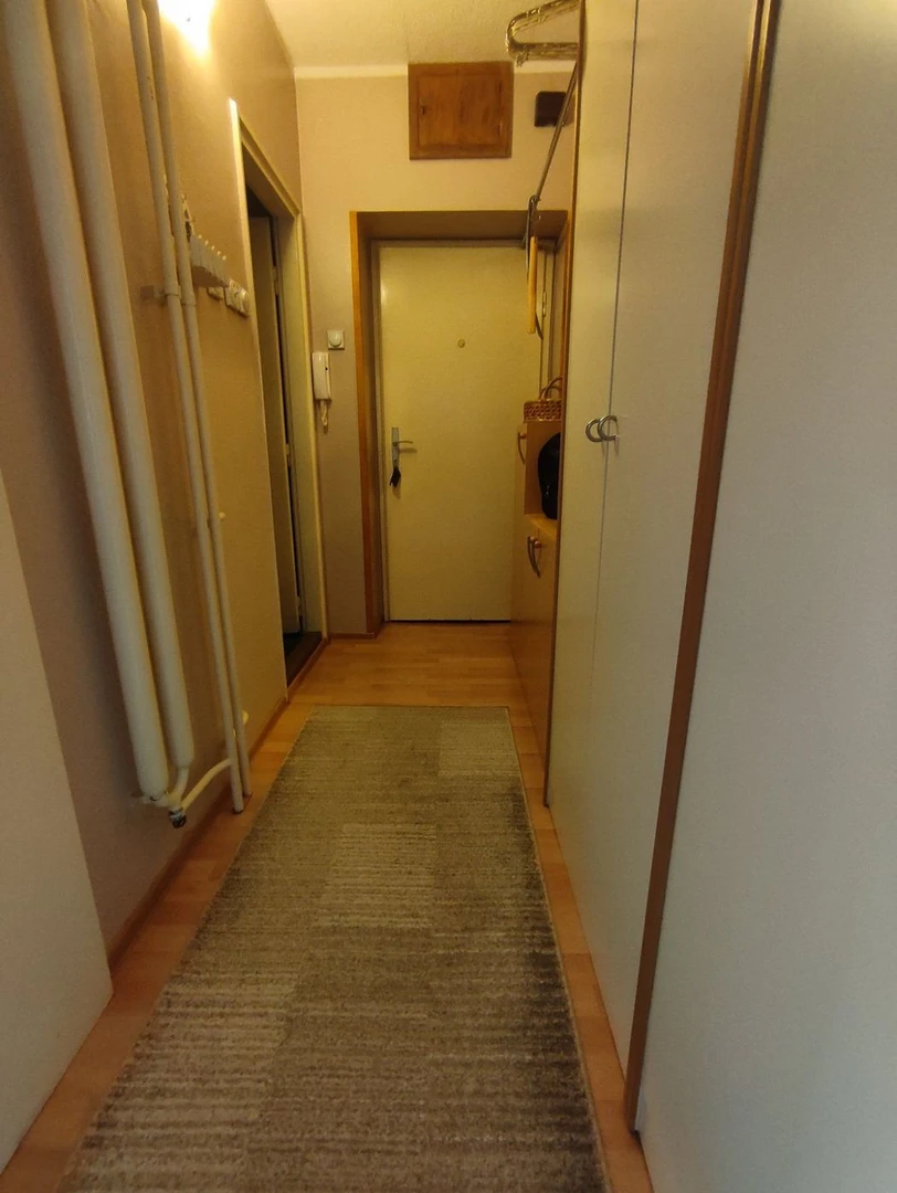 stan na prodaju Novi Sad 57m2 567391