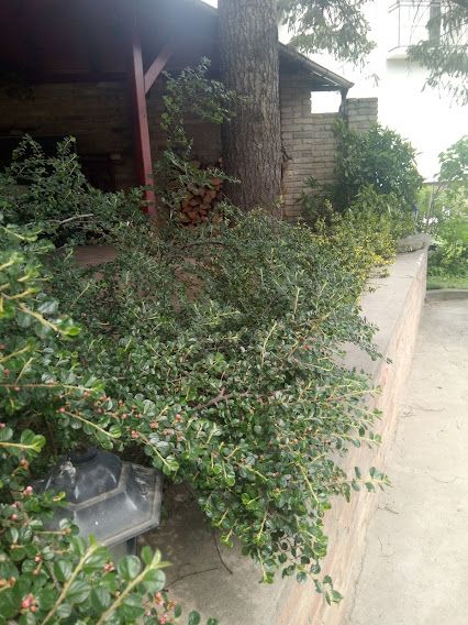 kuca na prodaju Petrovaradin 261m2 497601