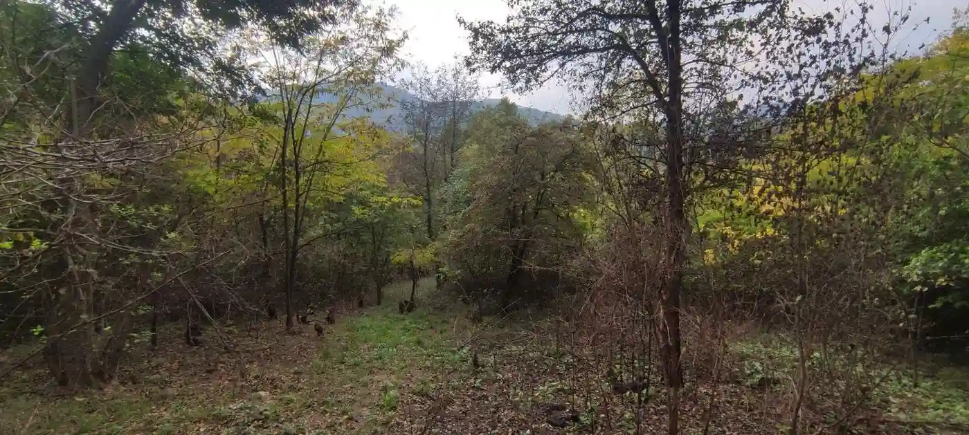 plac na prodaju Ledinci, 1937m2 498616