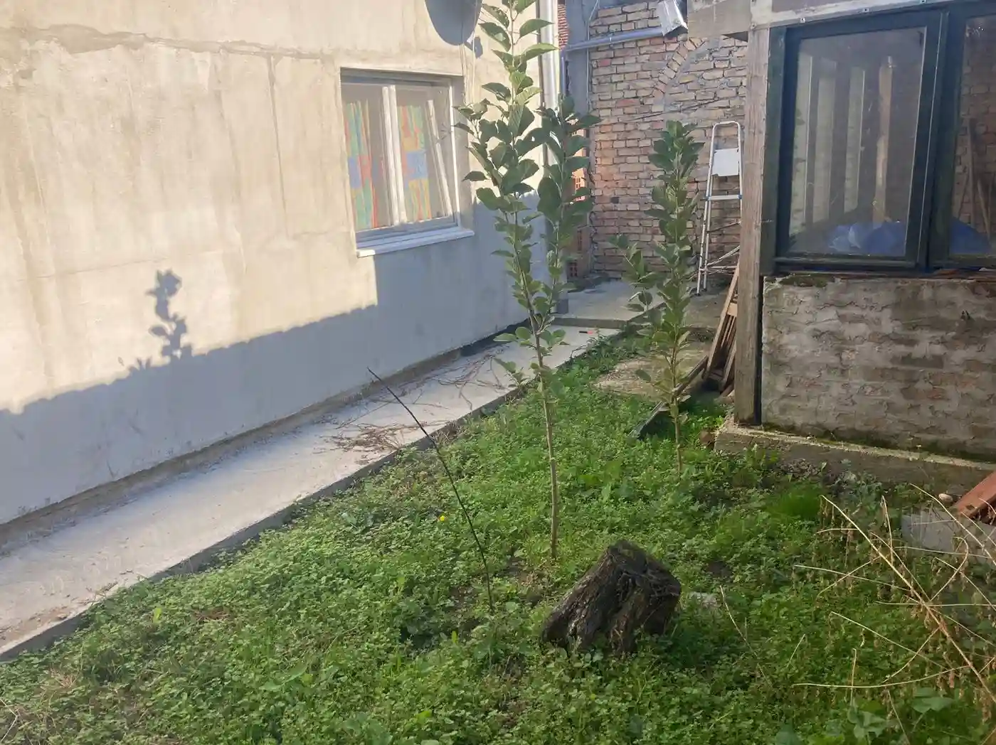 kuca na prodaju Veternik 157m2 498646