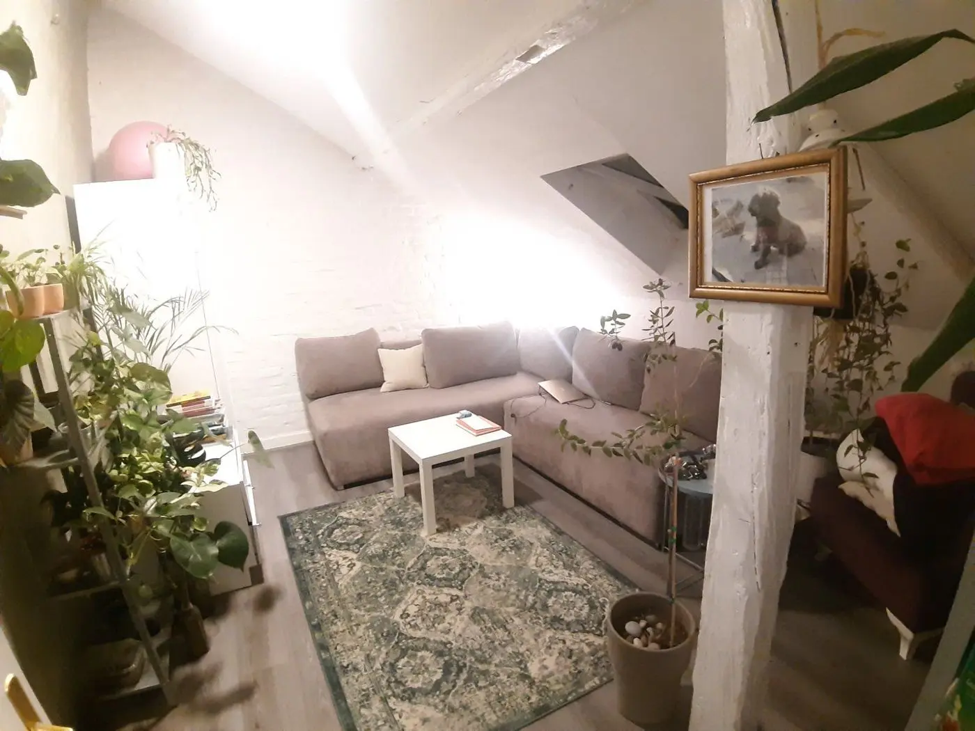 stan na prodaju Novi Sad 147m2 500584