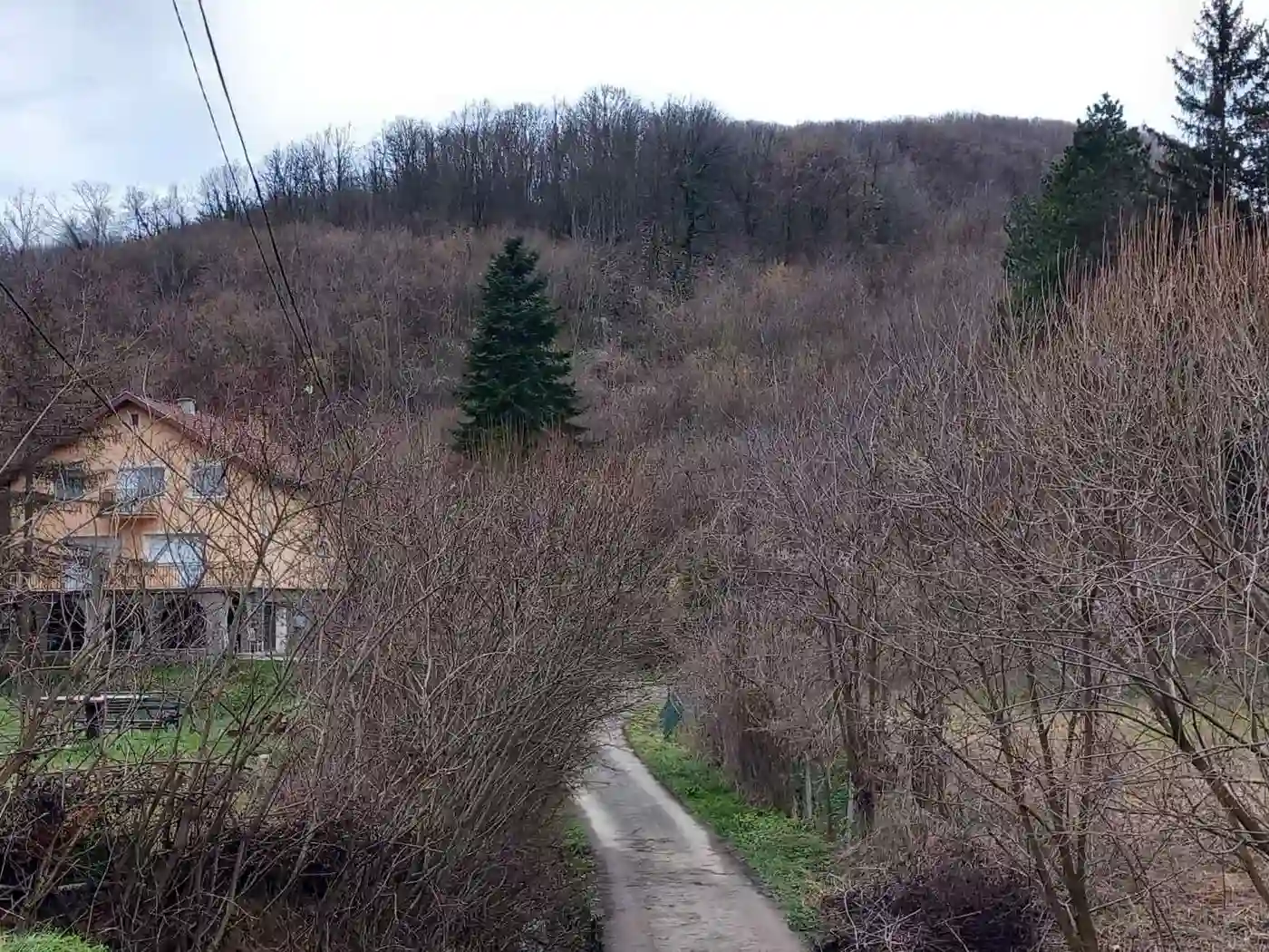 plac na prodaju Beočin, 2776m2 505781