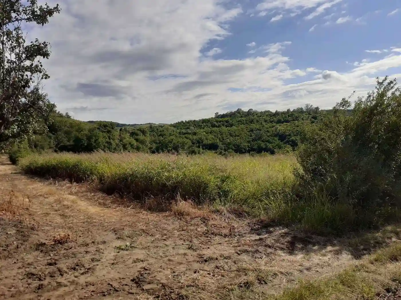 plac na prodaju Beočin, 5022m2 506001