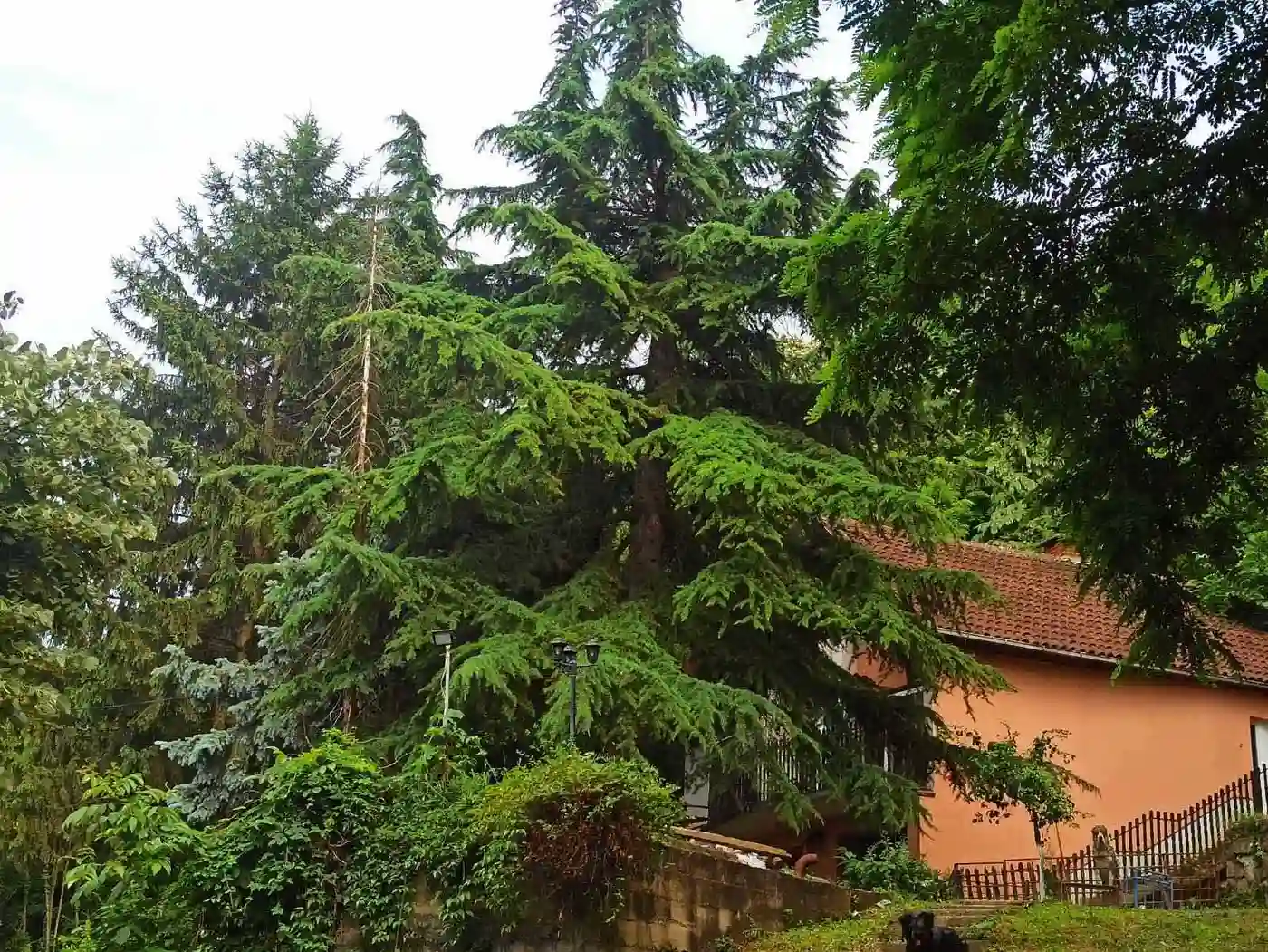 kuca na prodaju Rakovac 95m2 505845
