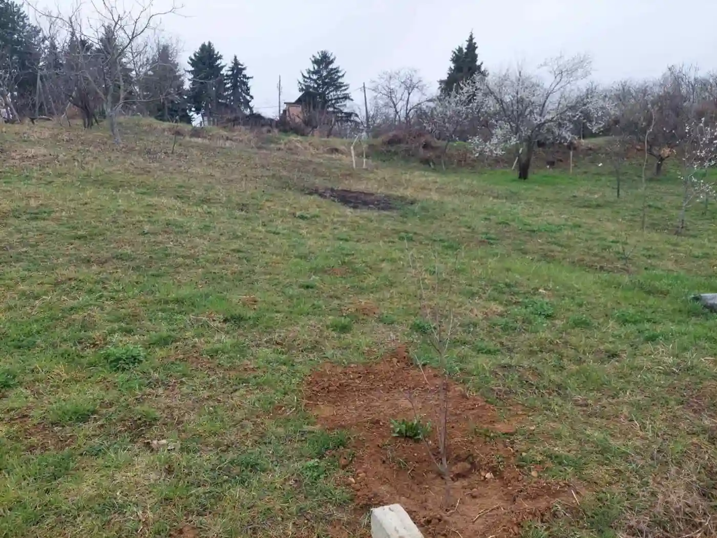 plac na prodaju Sremska Kamenica 1390m2 507586