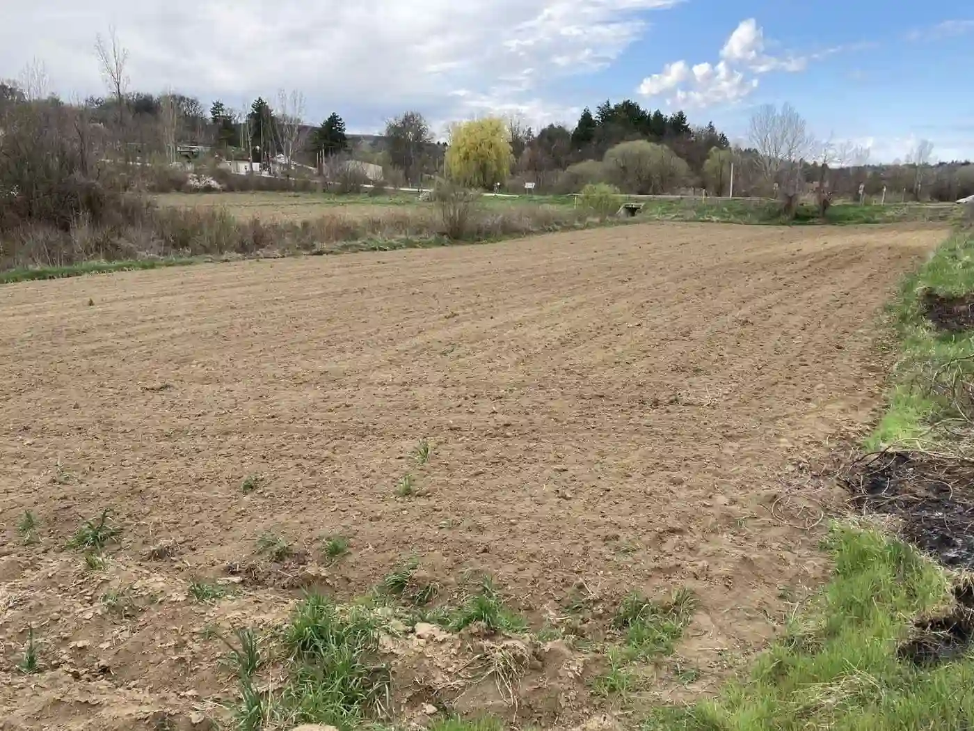plac na prodaju Krušedol 2230m2 507937