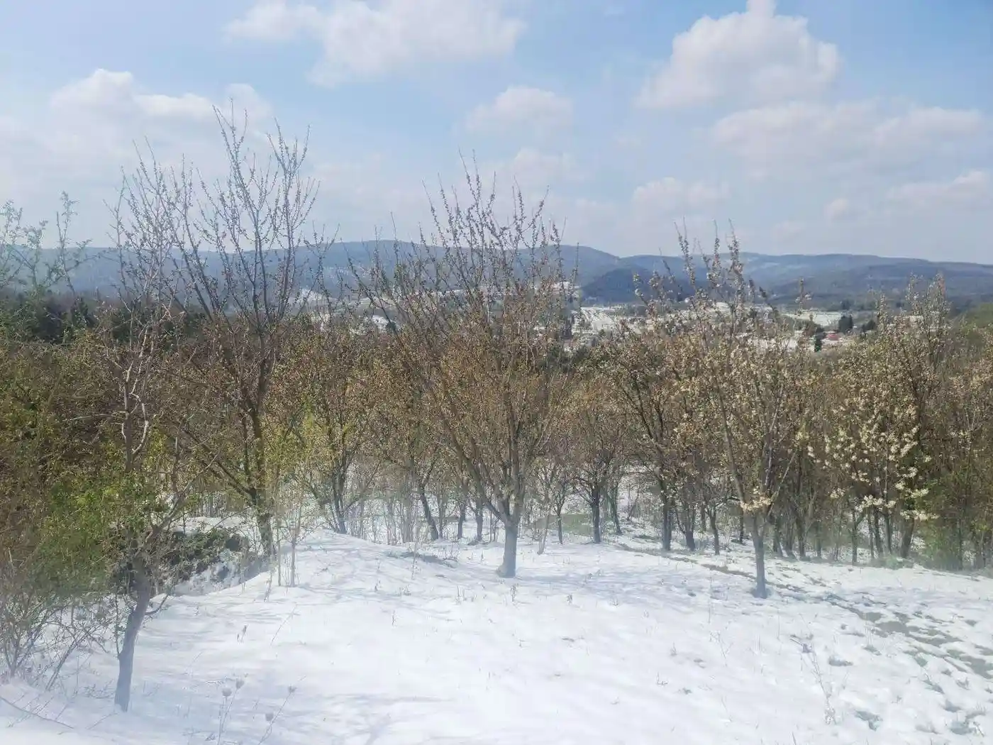 plac na prodaju Vrdnik 27953m2 509177