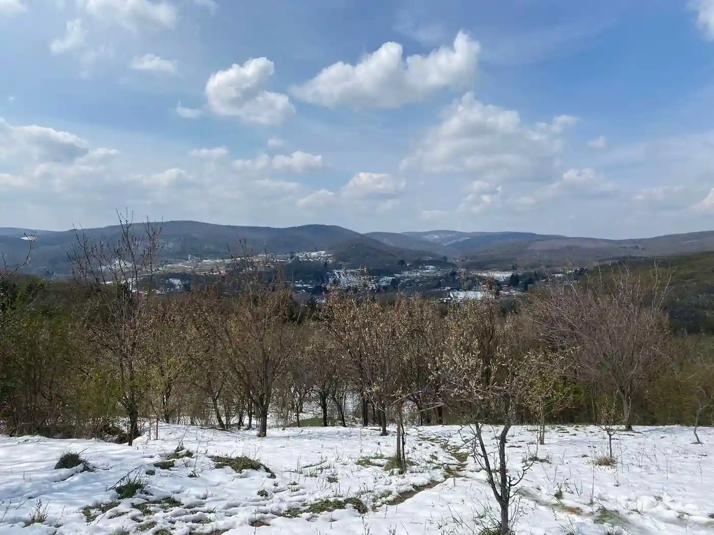 plac na prodaju Vrdnik 27953m2 509177
