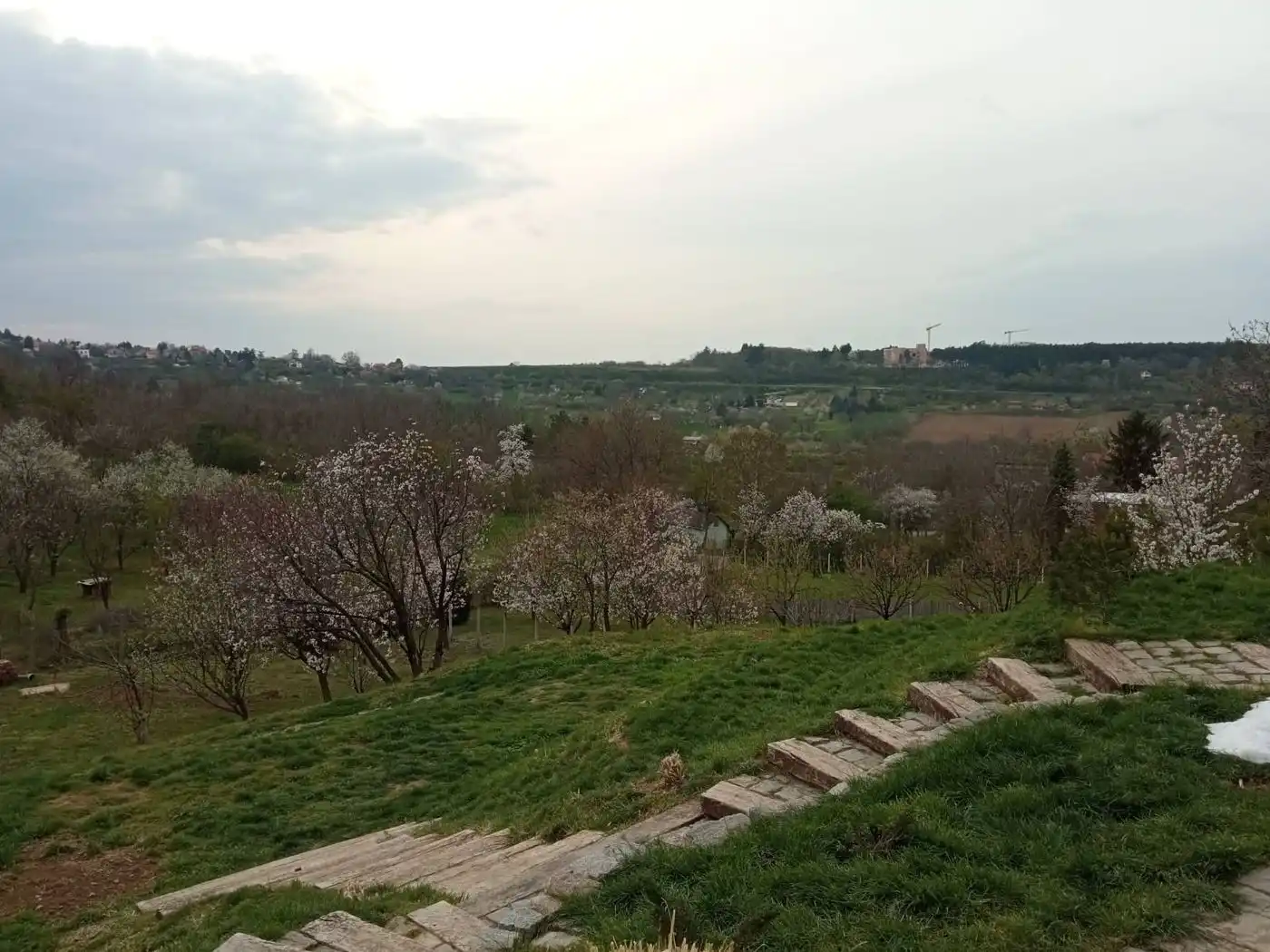 kuca na prodaju Petrovaradin 82m2 509467