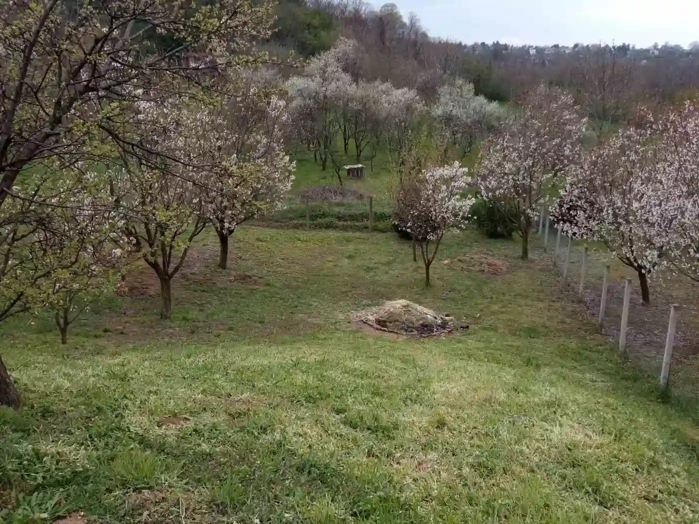 kuca na prodaju Petrovaradin 82m2 509467