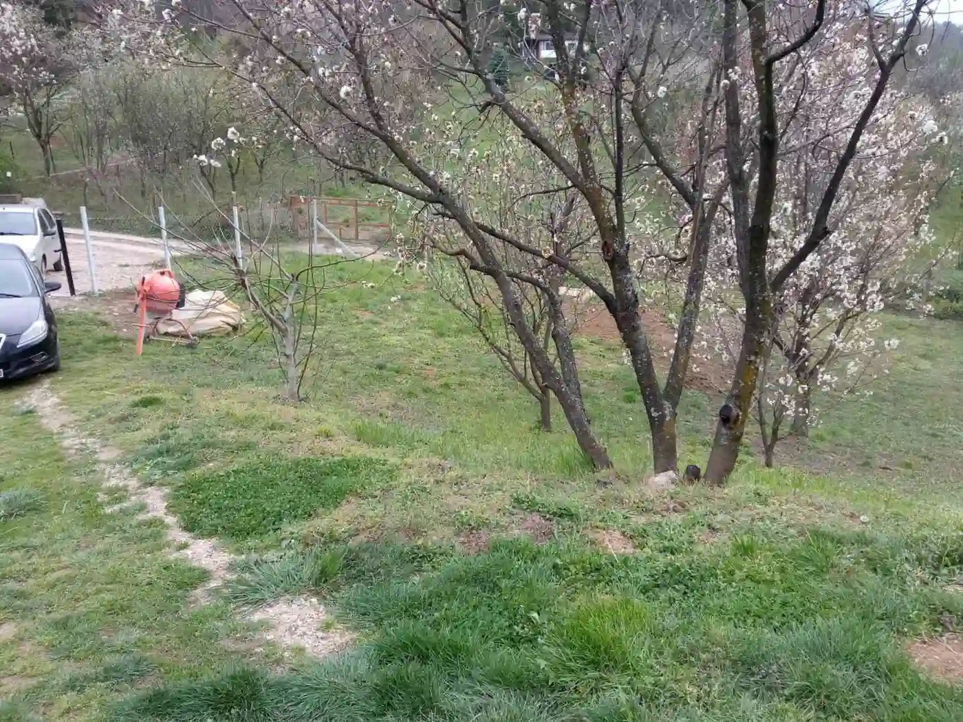 kuca na prodaju Petrovaradin 82m2 509467
