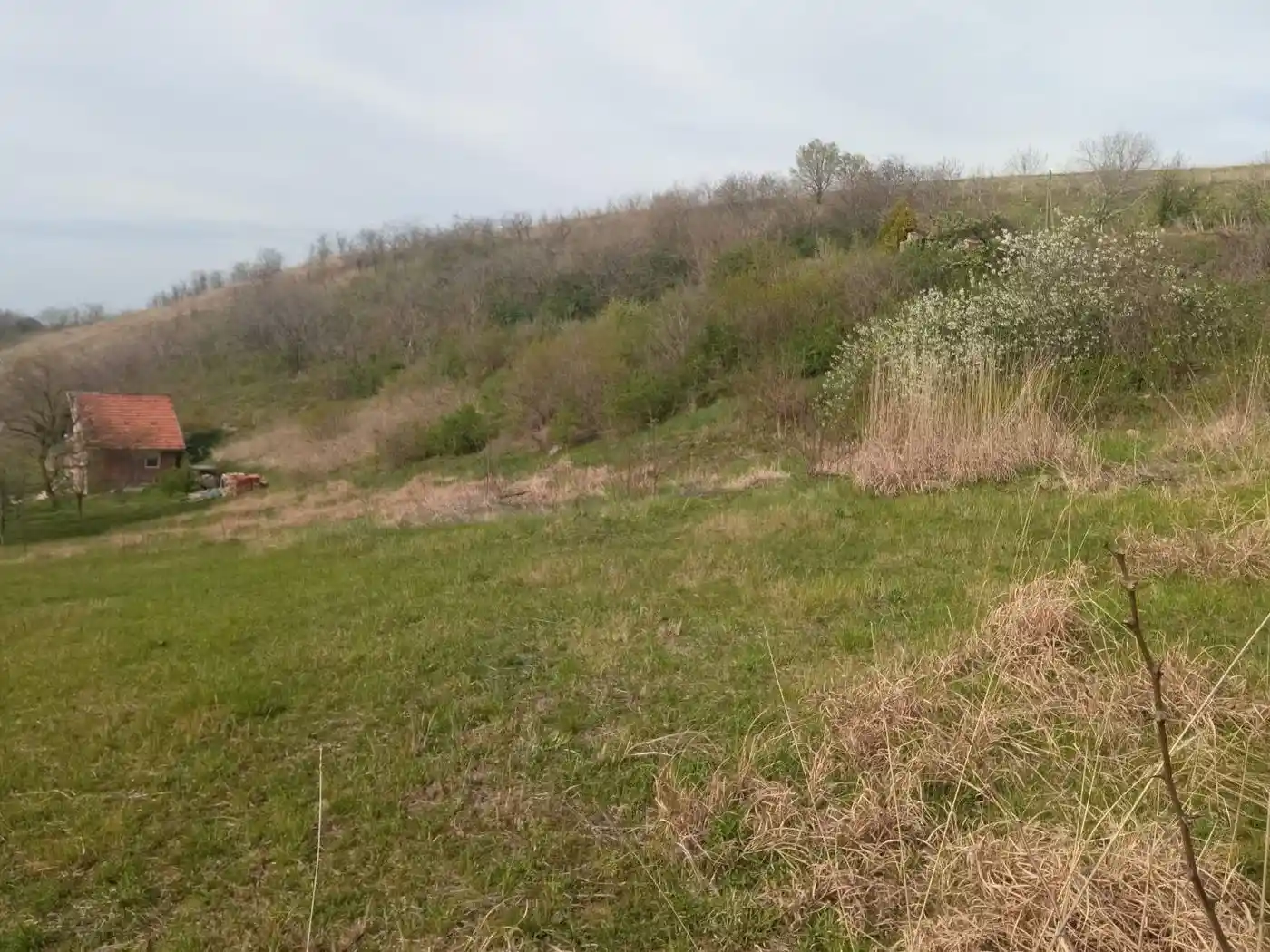kuca na prodaju Rakovac 153m2 509837