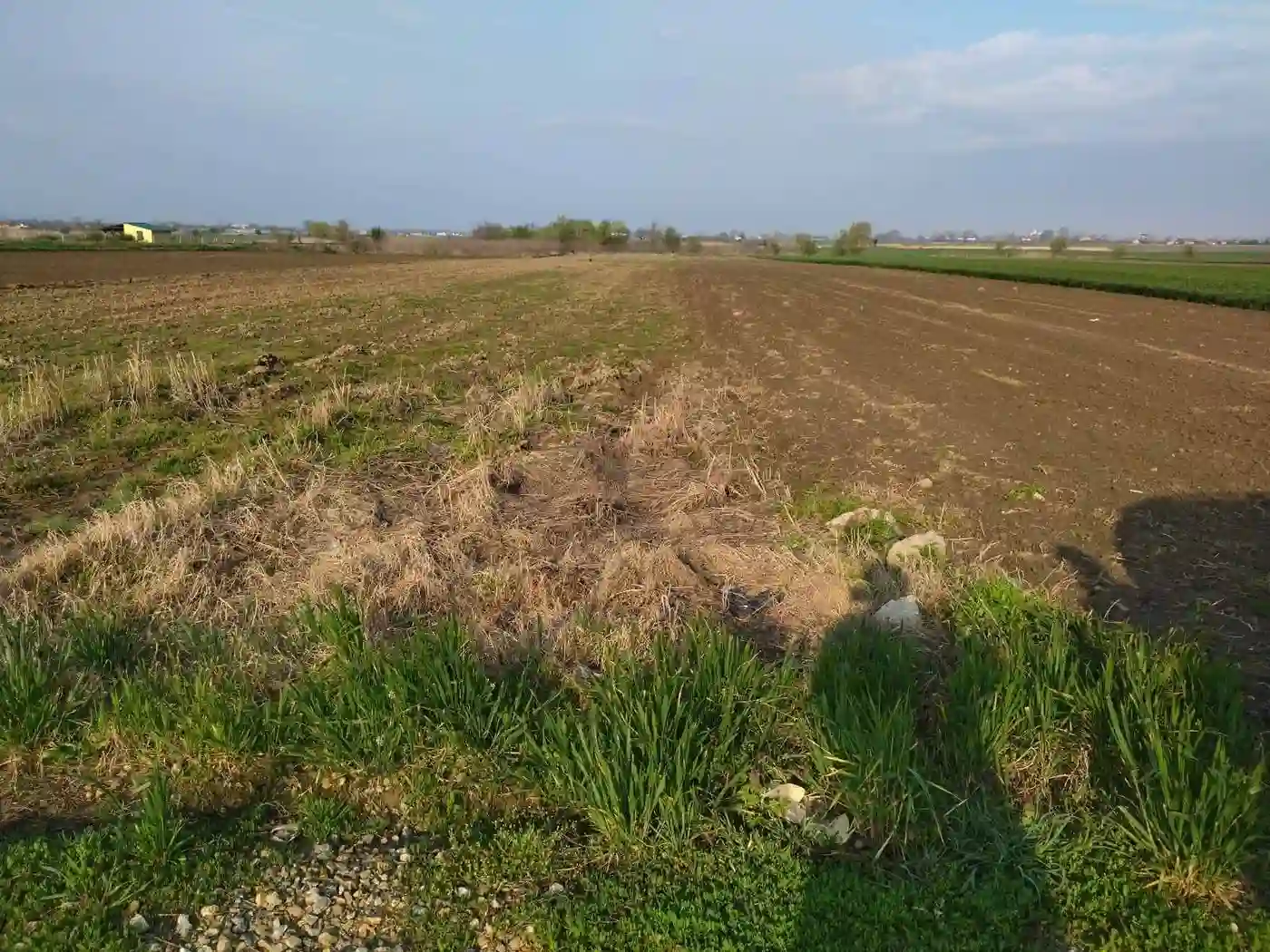 plac na prodaju Futog 4491m2 510078