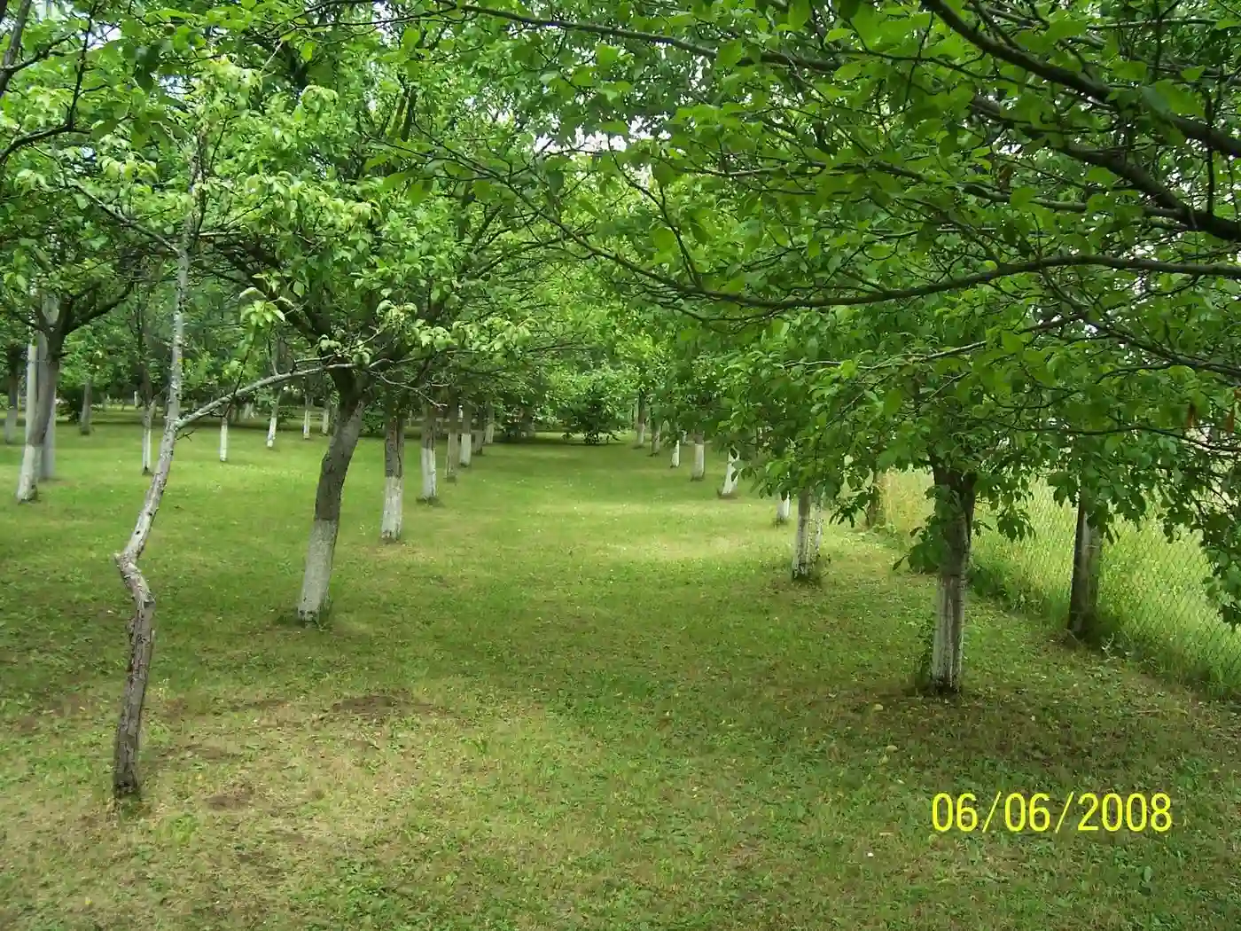 kuca na prodaju Krušedol, 42m2 505984