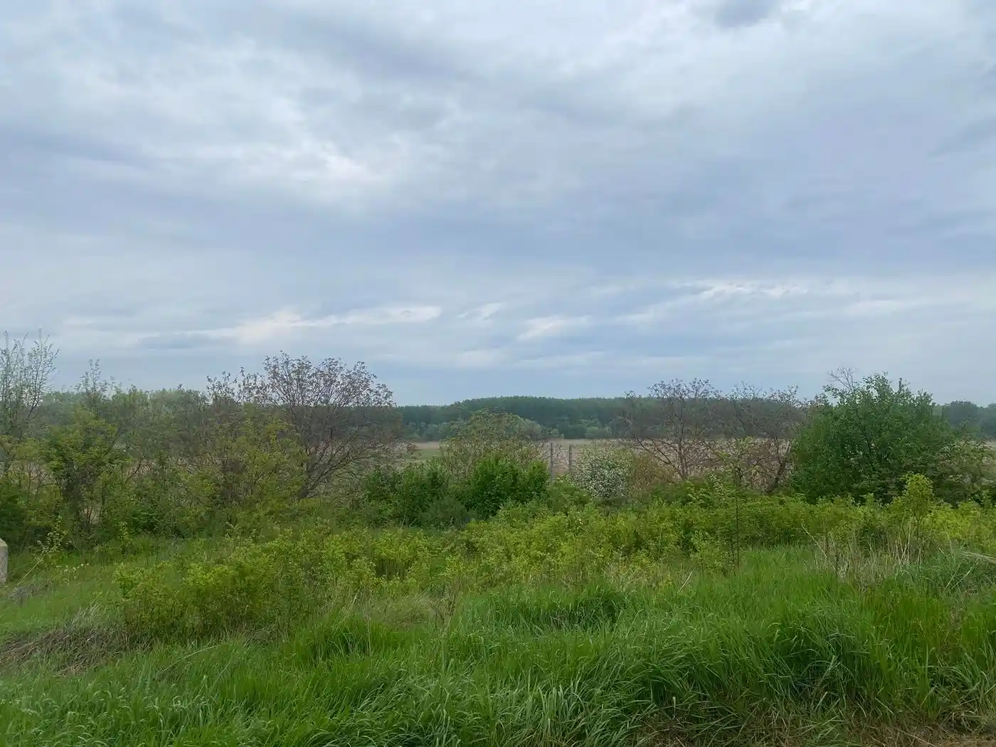 plac na prodaju Petrovaradin 925m2 510283
