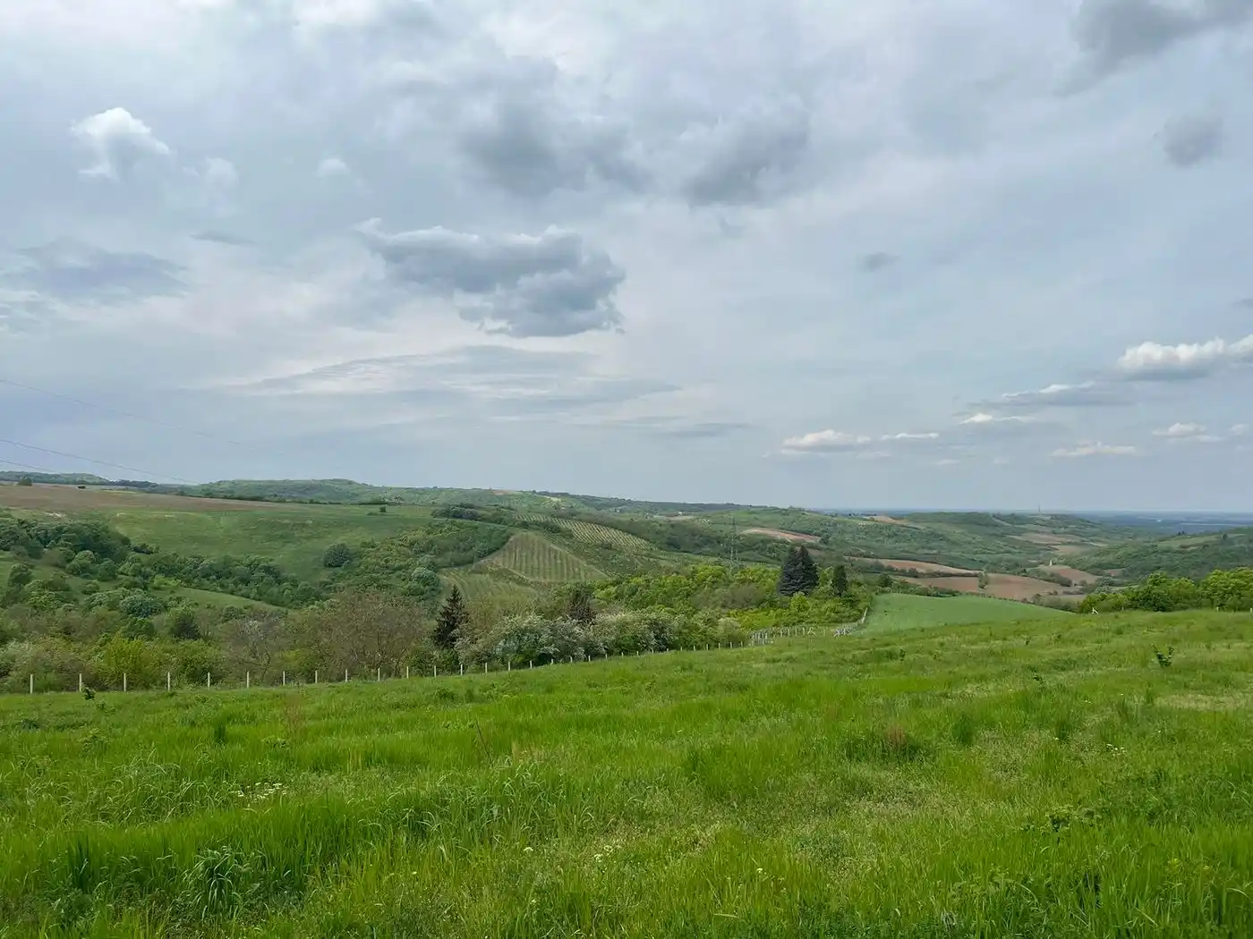 plac na prodaju Sremski Karlovci 484m2 509829