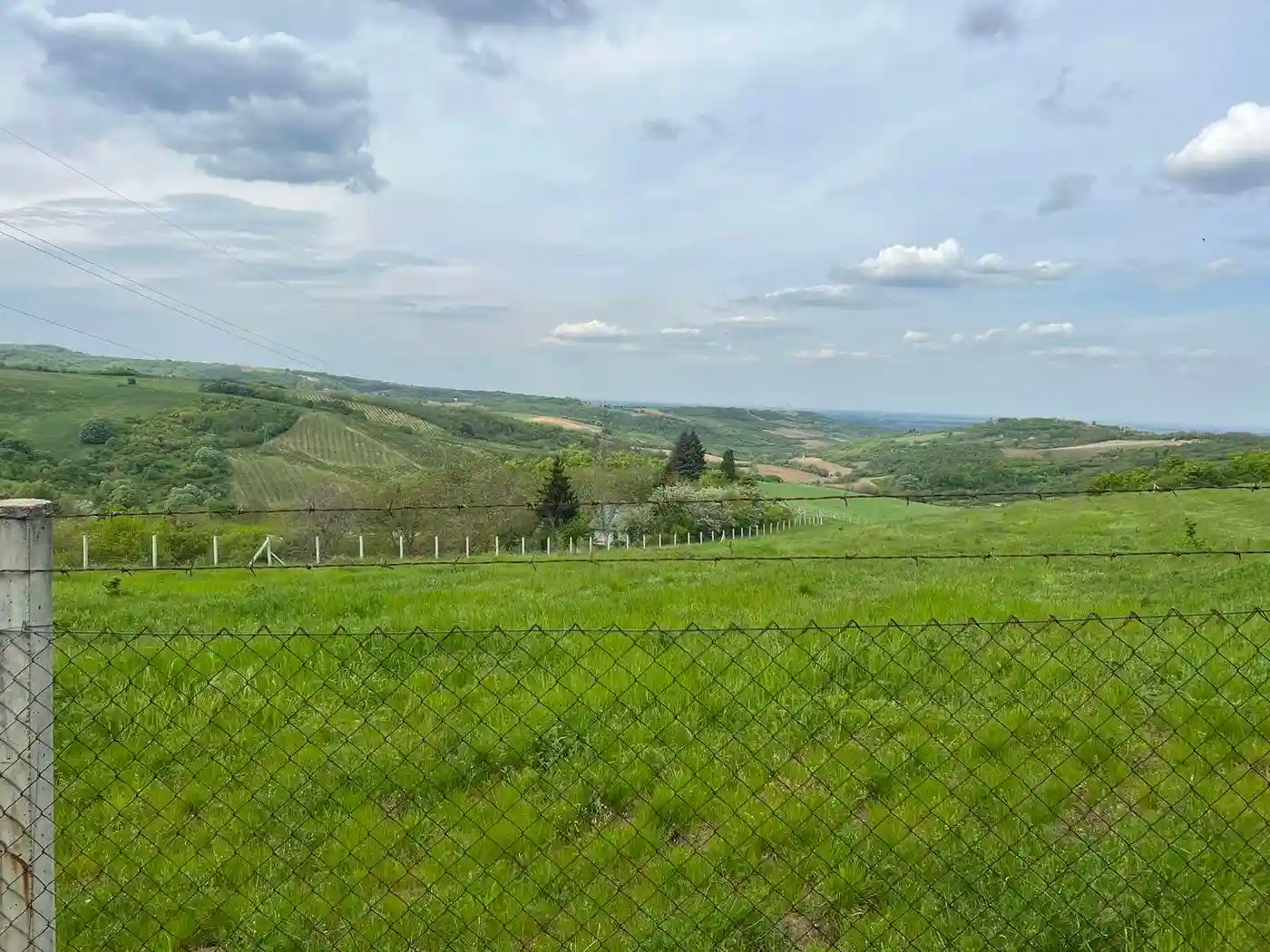 plac na prodaju Sremski Karlovci 484m2 509829
