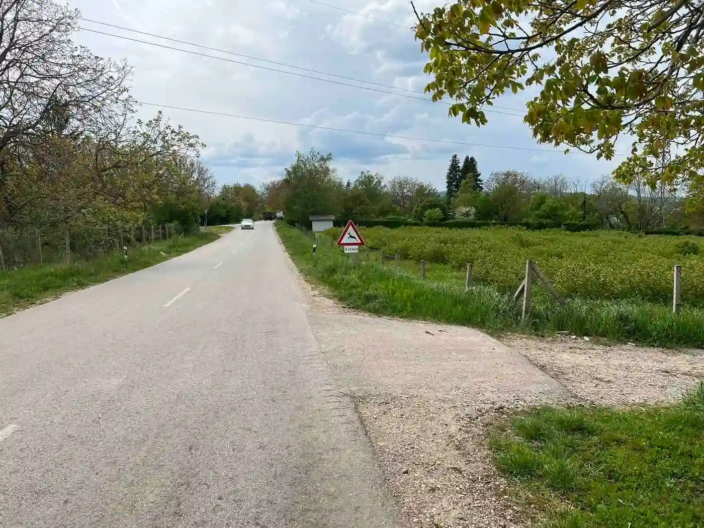 plac na prodaju Sremski Karlovci 484m2 509829