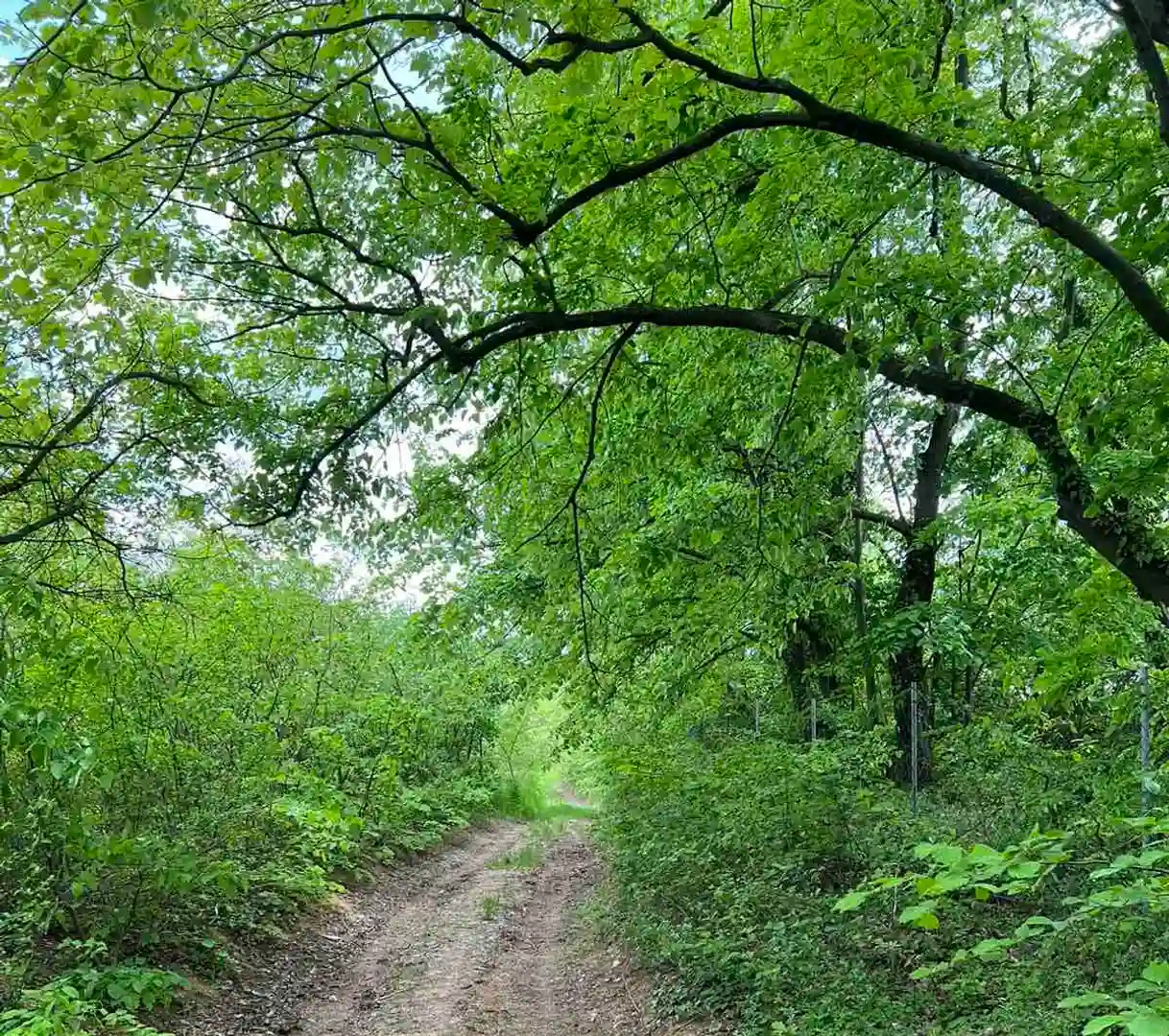 plac na prodaju Sremski Karlovci 484m2 509829