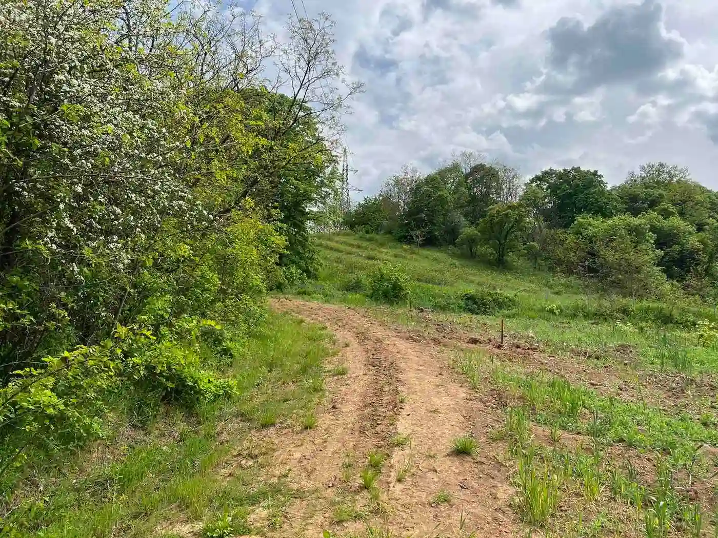 plac na prodaju Sremski Karlovci 484m2 509829