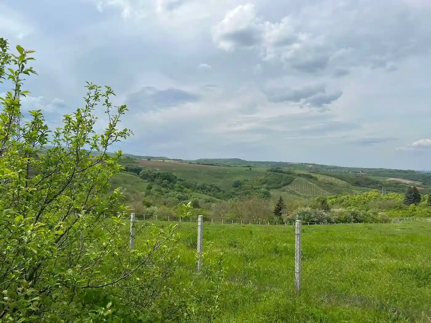 plac na prodaju Sremski Karlovci 484m2 509829