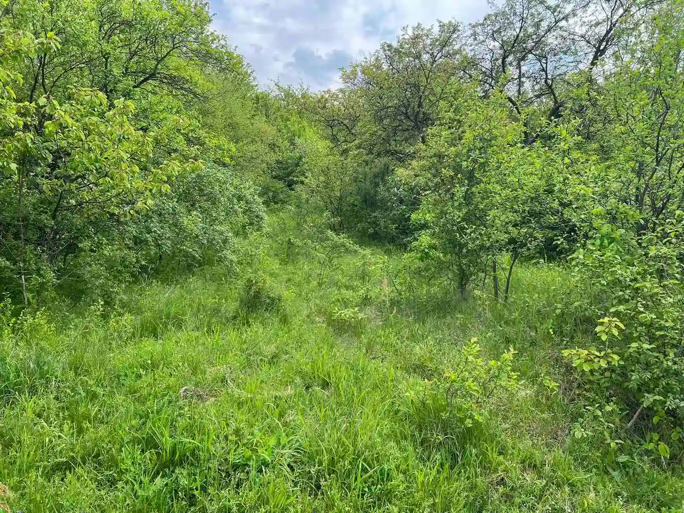 plac na prodaju Sremski Karlovci 484m2 509829