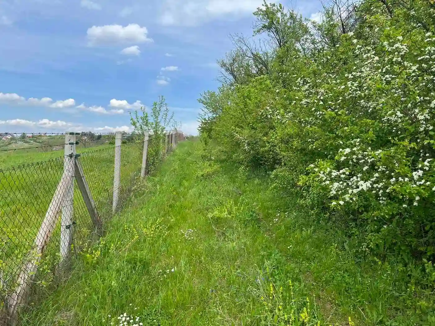 plac na prodaju Sremski Karlovci 484m2 509829