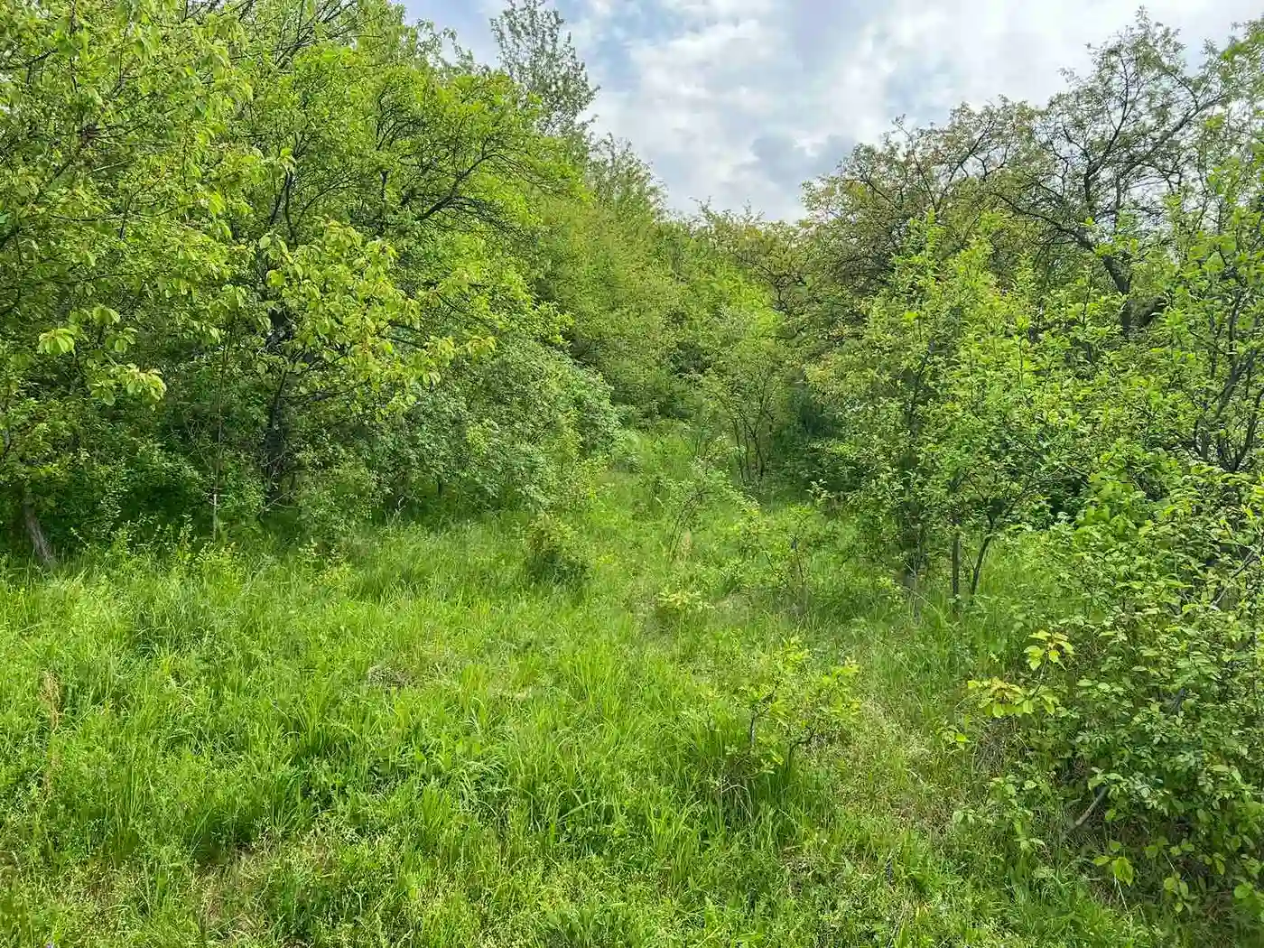 plac na prodaju Sremski Karlovci 484m2 509829