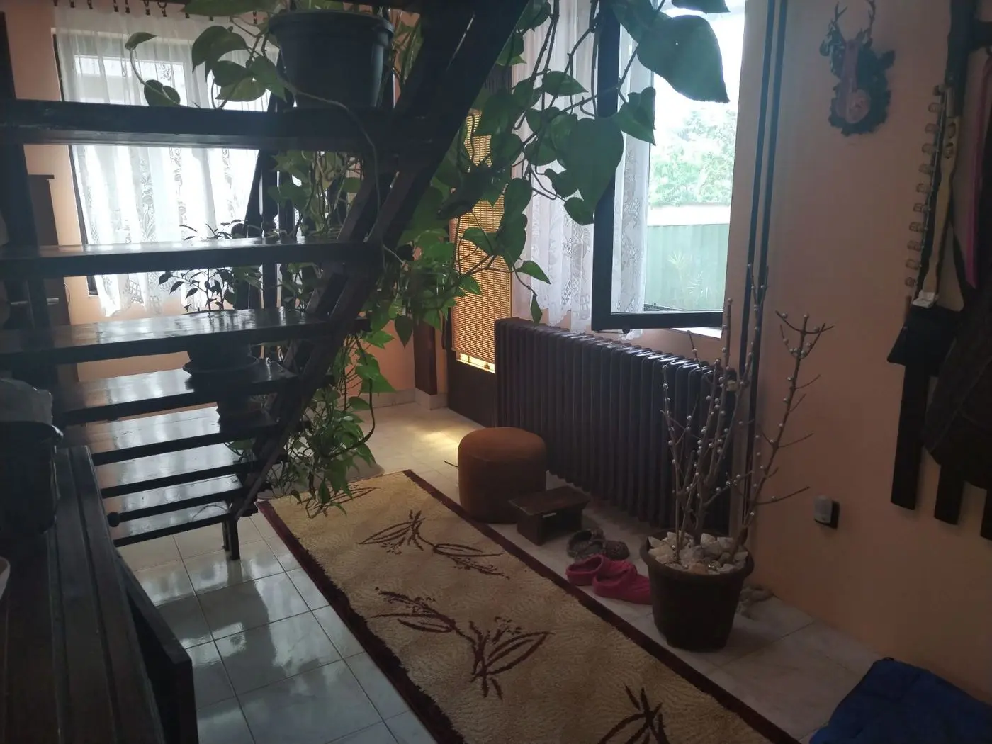 kuca na prodaju Novi Sad 116m2 510757