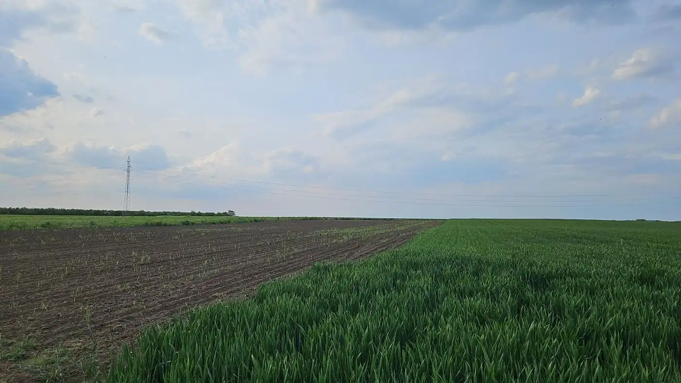 plac na prodaju Futog 11508m2 510109