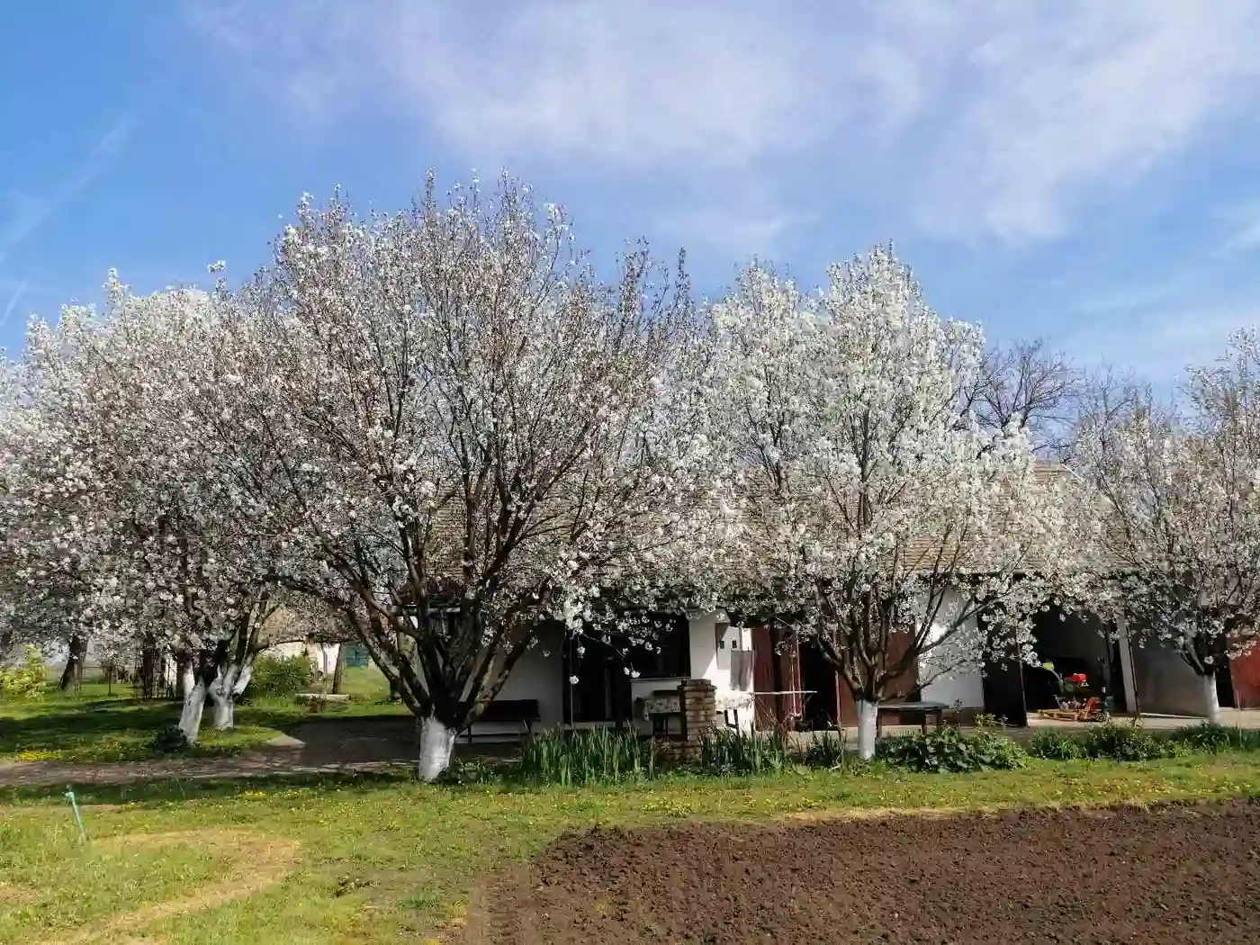 kuca na prodaju Čenej, 111m2 437068