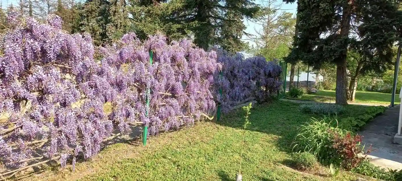 kuca na prodaju Banoštor 60m2 511629
