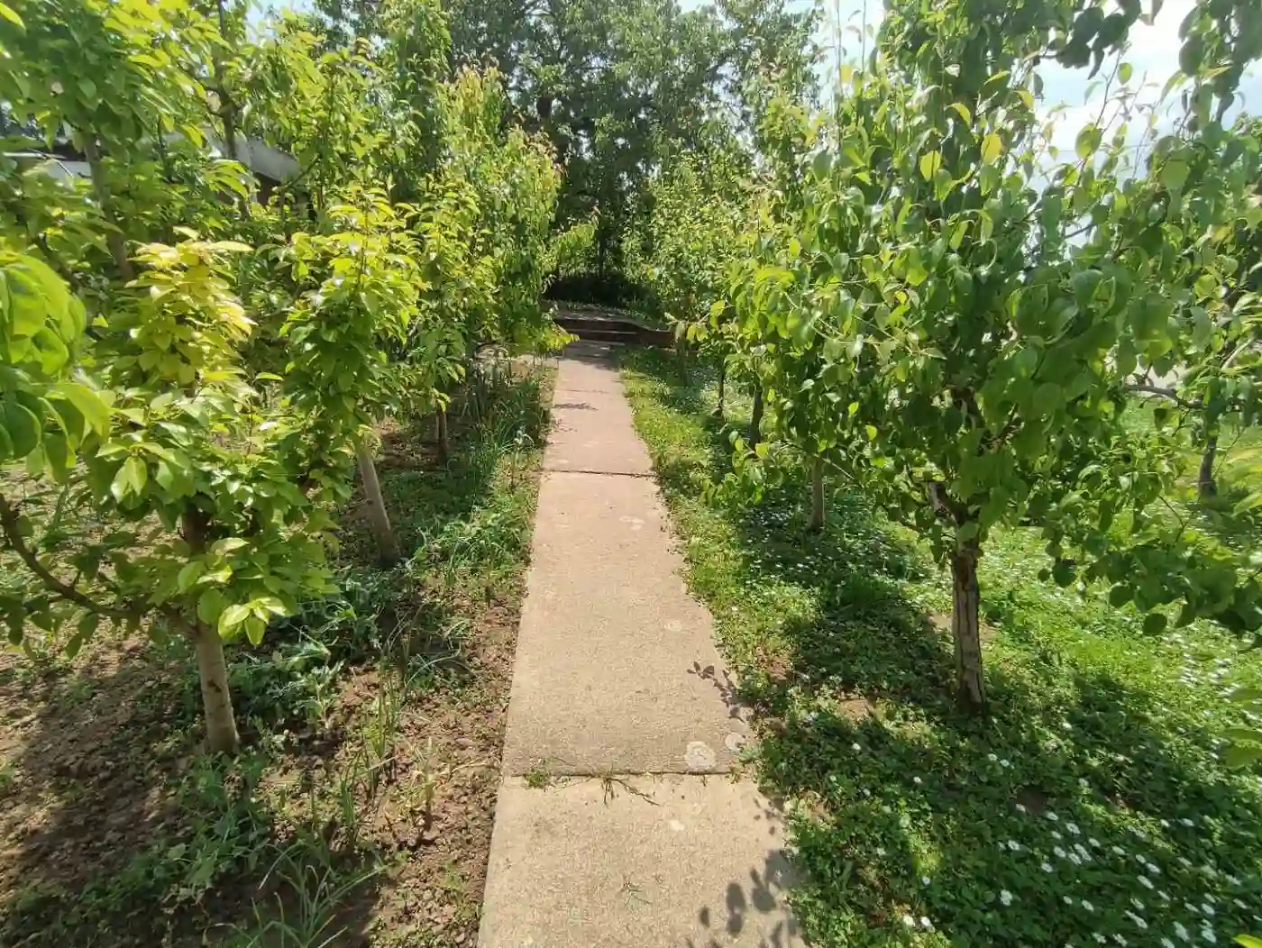kuca na prodaju Banoštor 60m2 511629