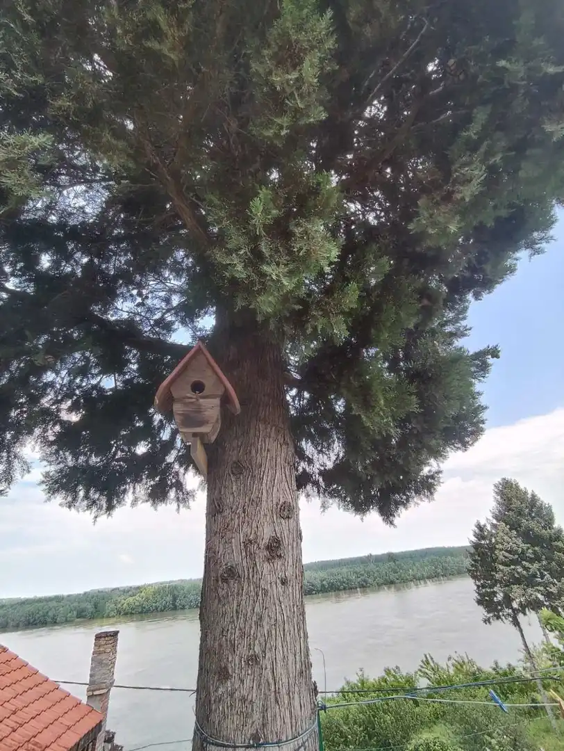 kuca na prodaju Banoštor 60m2 511629