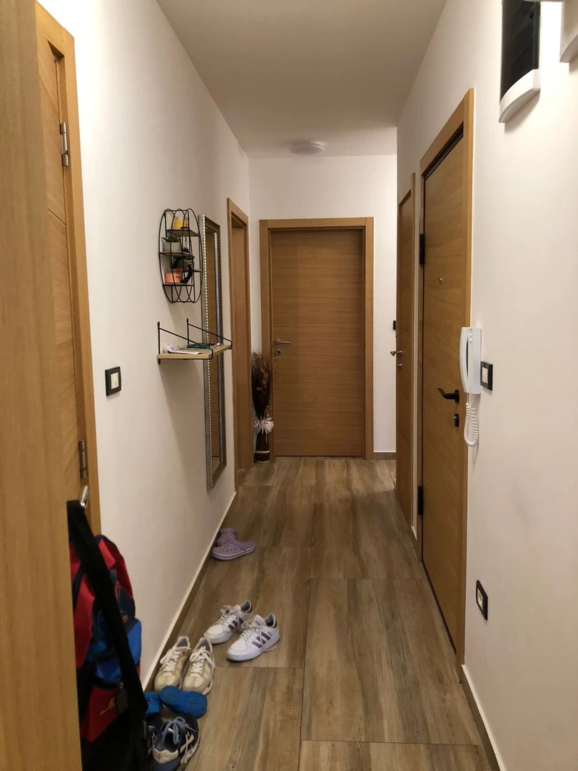 stan na prodaju Novi Sad 89m2 512054