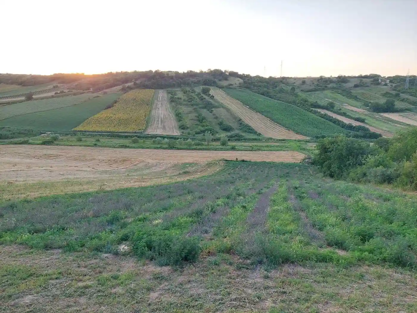 plac na prodaju Bukovac 2531m2 512813