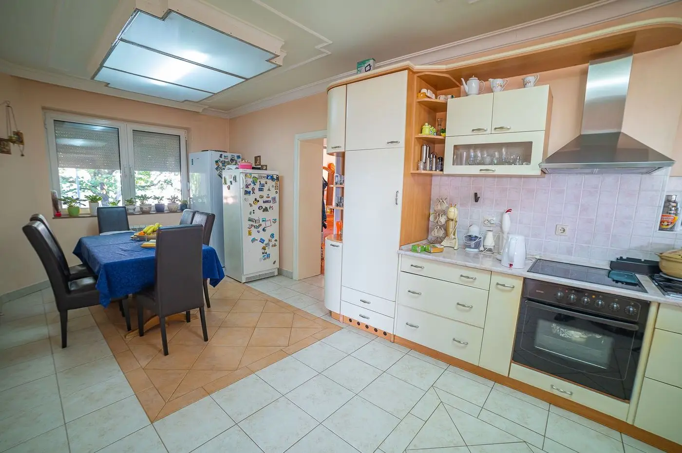 kuca na prodaju Sremska Kamenica 479m2 513023