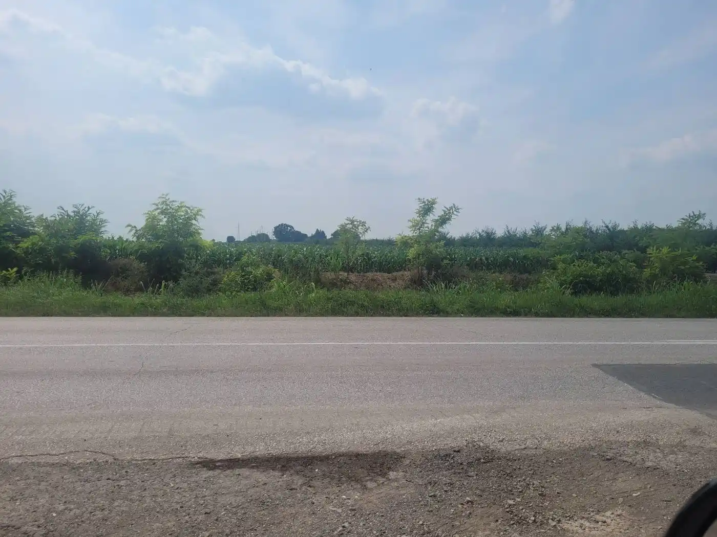 plac na prodaju Čenej 24073m2 513156