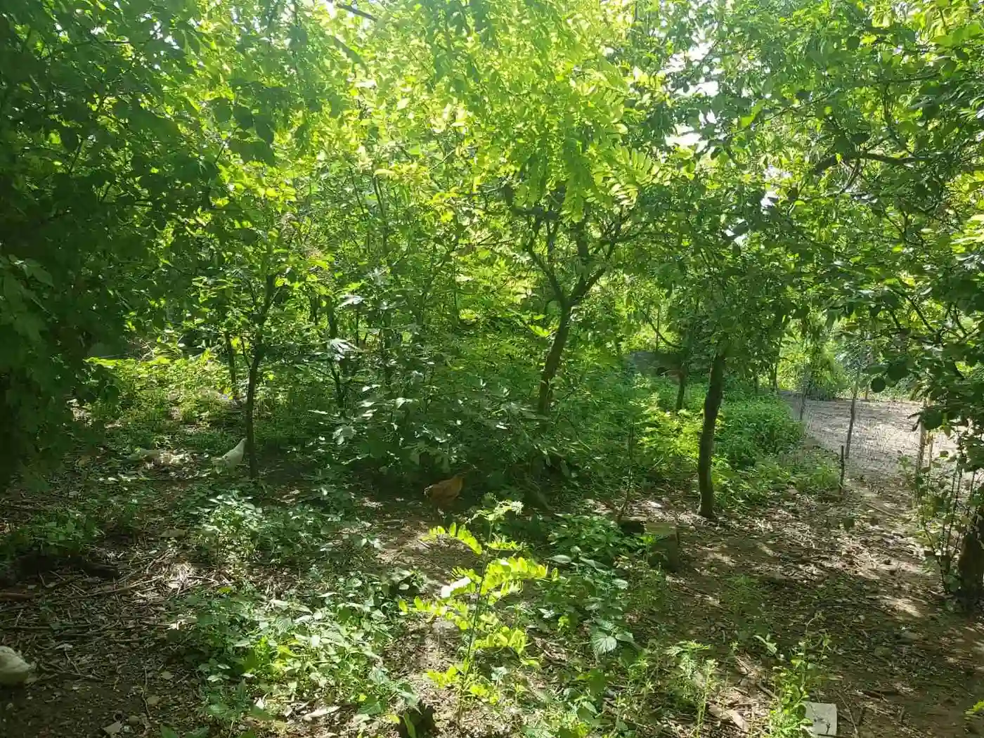 kuca na prodaju Rumenka 66m2 510823