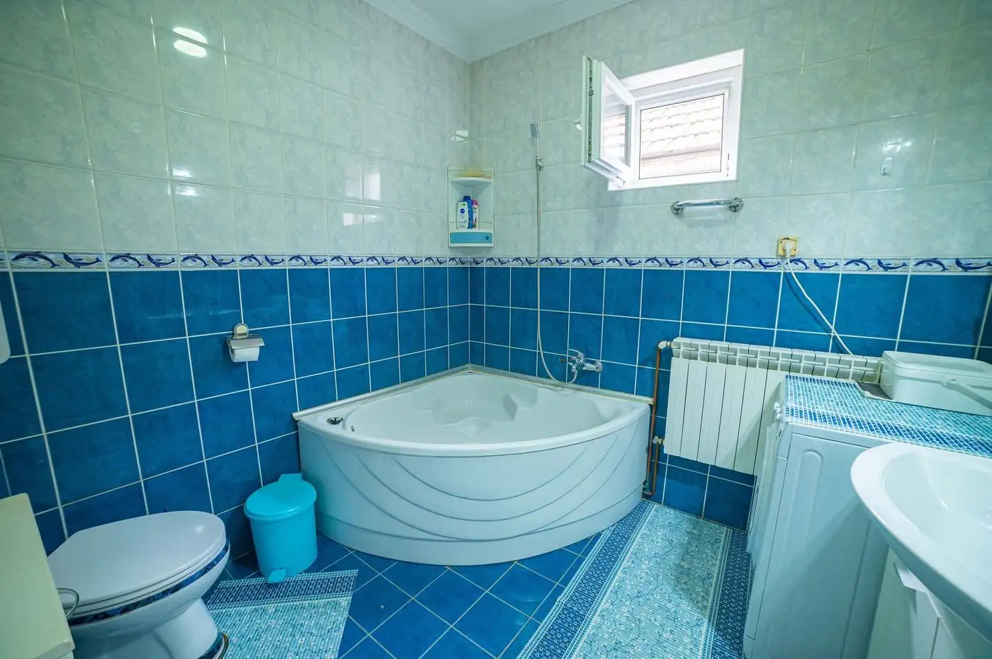 kuca na prodaju Novi Sad 351m2 512989