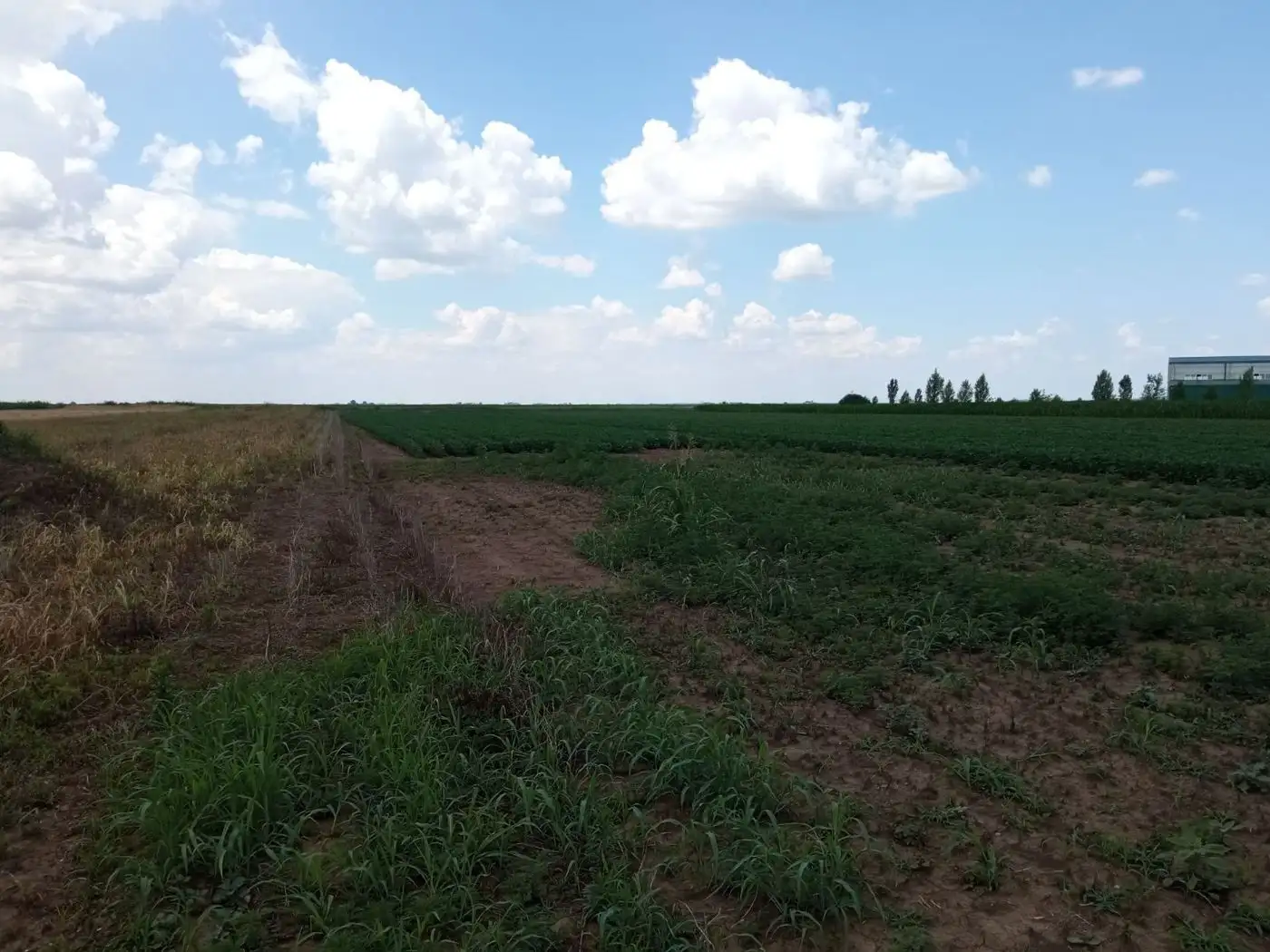 plac na prodaju Rumenka 912m2 513335
