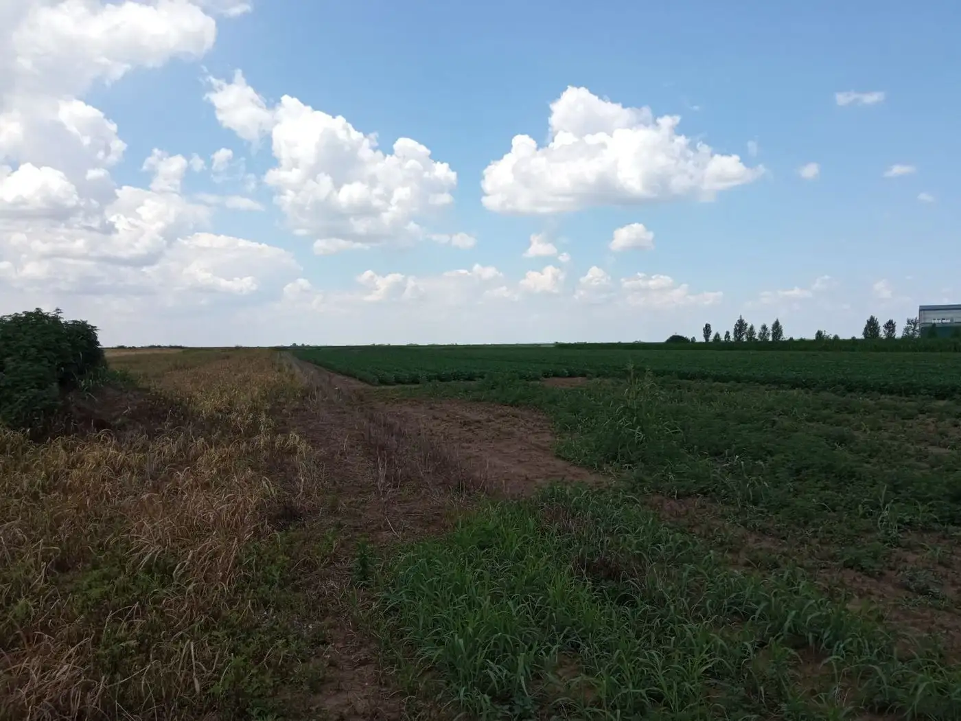 plac na prodaju Rumenka 912m2 513335