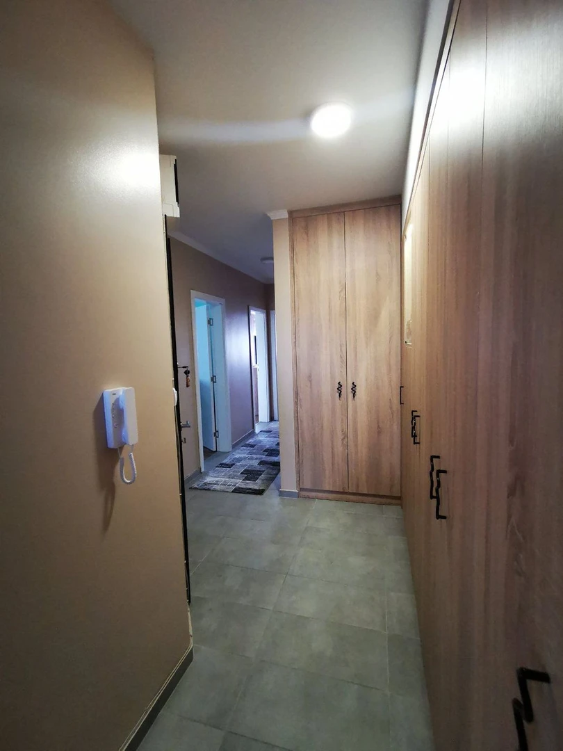 stan na prodaju Novi Sad 76m2 513431