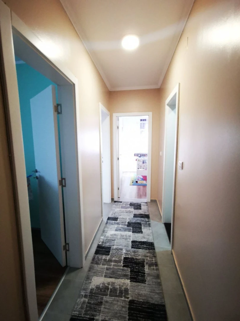 stan na prodaju Novi Sad 76m2 513431