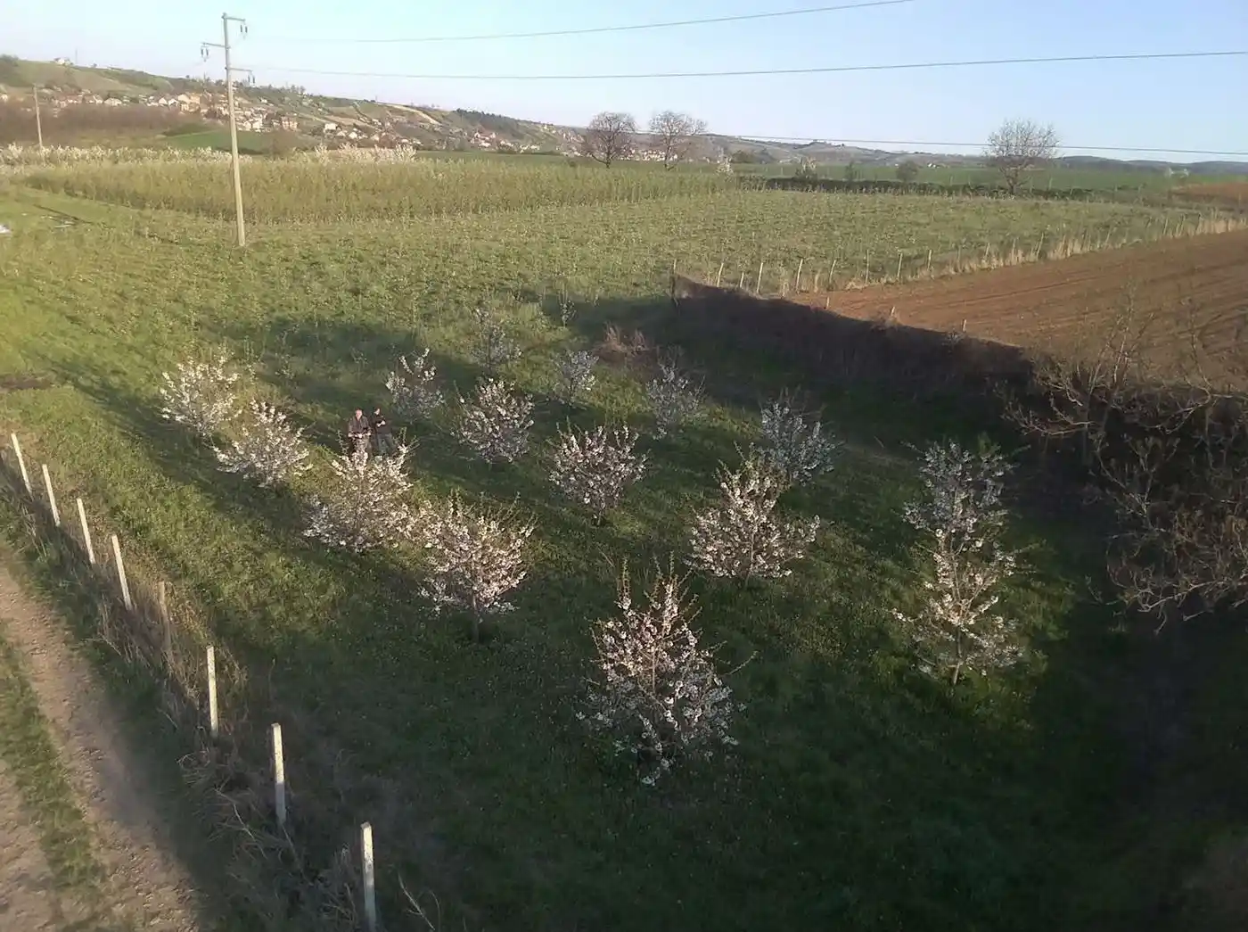 plac na prodaju Petrovaradin 2632m2 513597