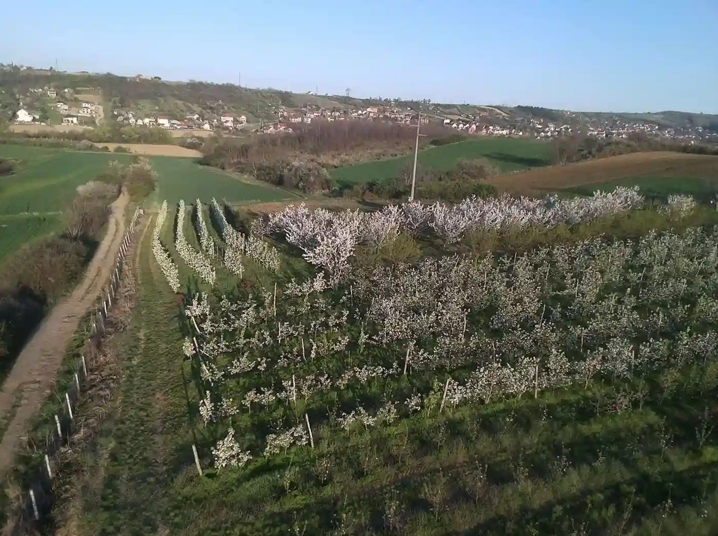 plac na prodaju Petrovaradin 2632m2 513597