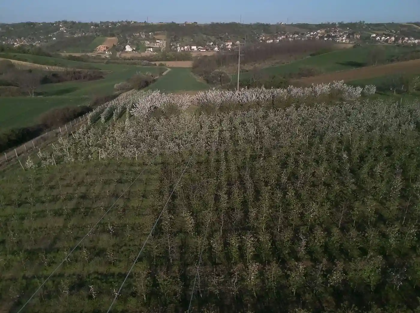 plac na prodaju Petrovaradin, 2632m2 513597