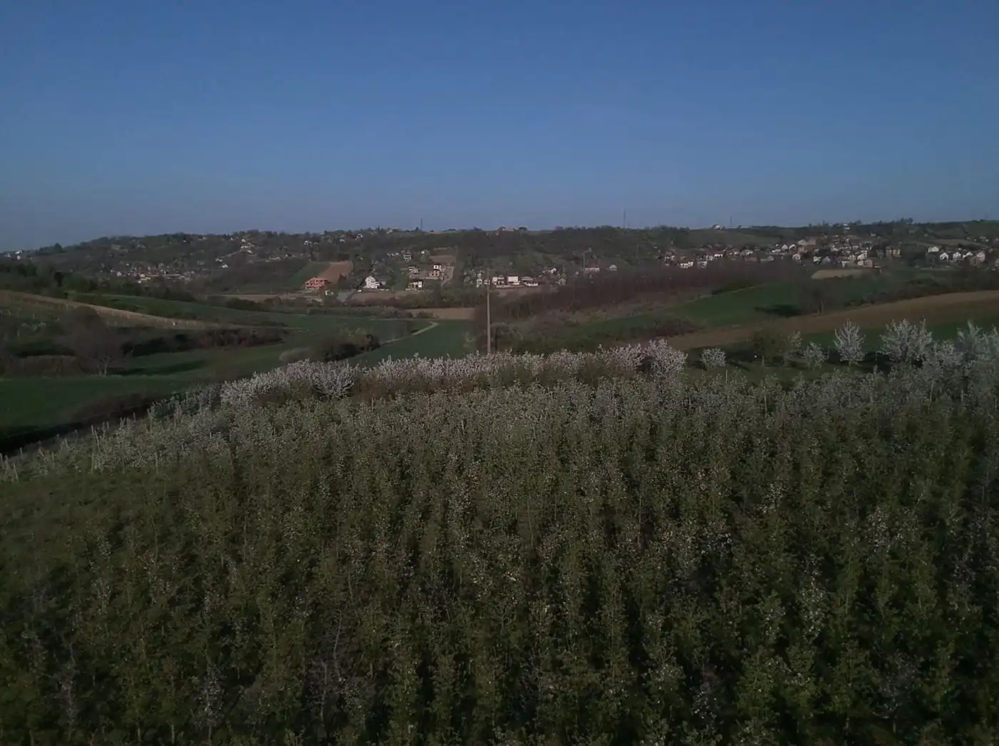 plac na prodaju Petrovaradin 2632m2 513597