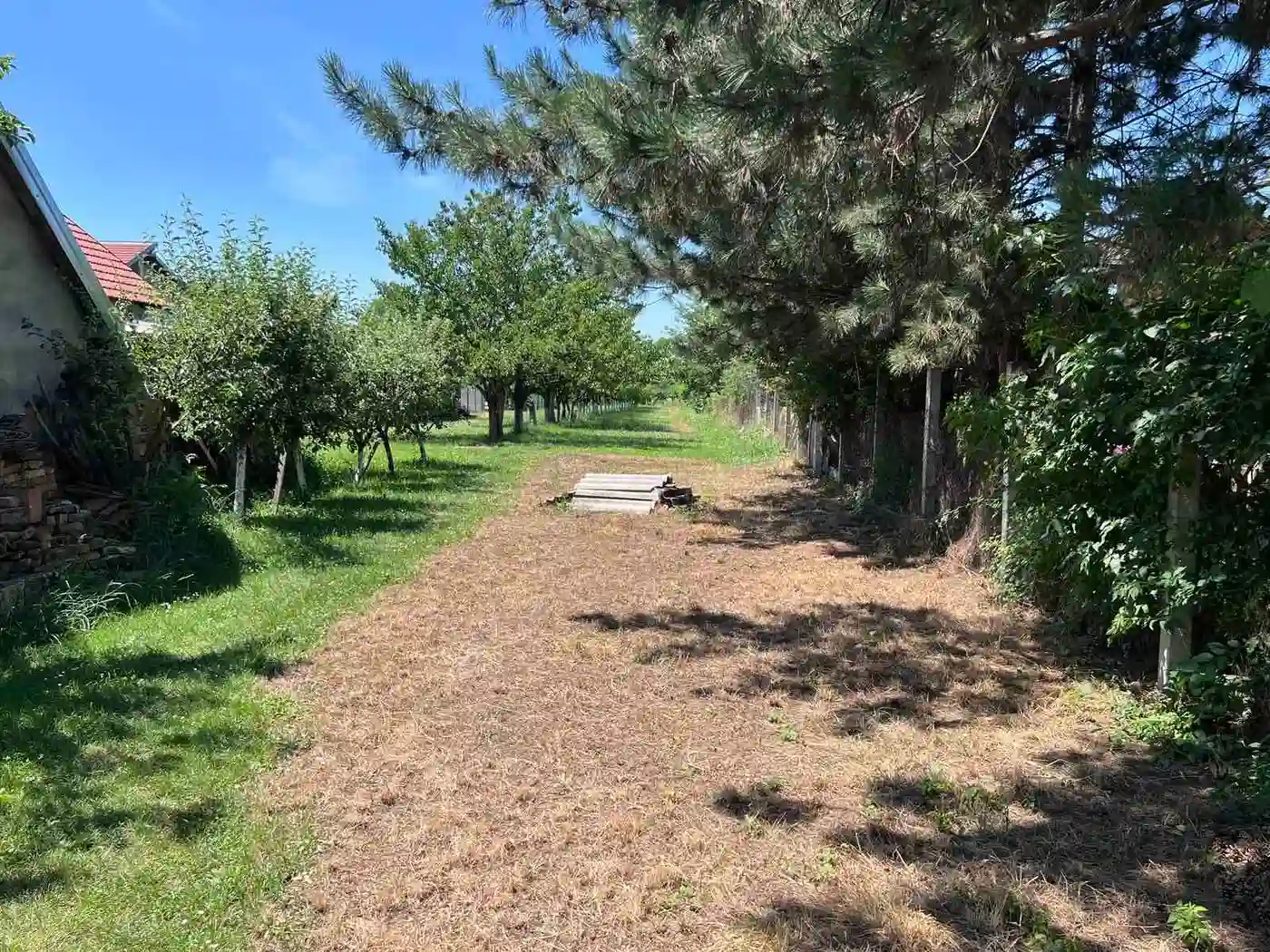 kuca na prodaju Novi Sad 235m2 513679