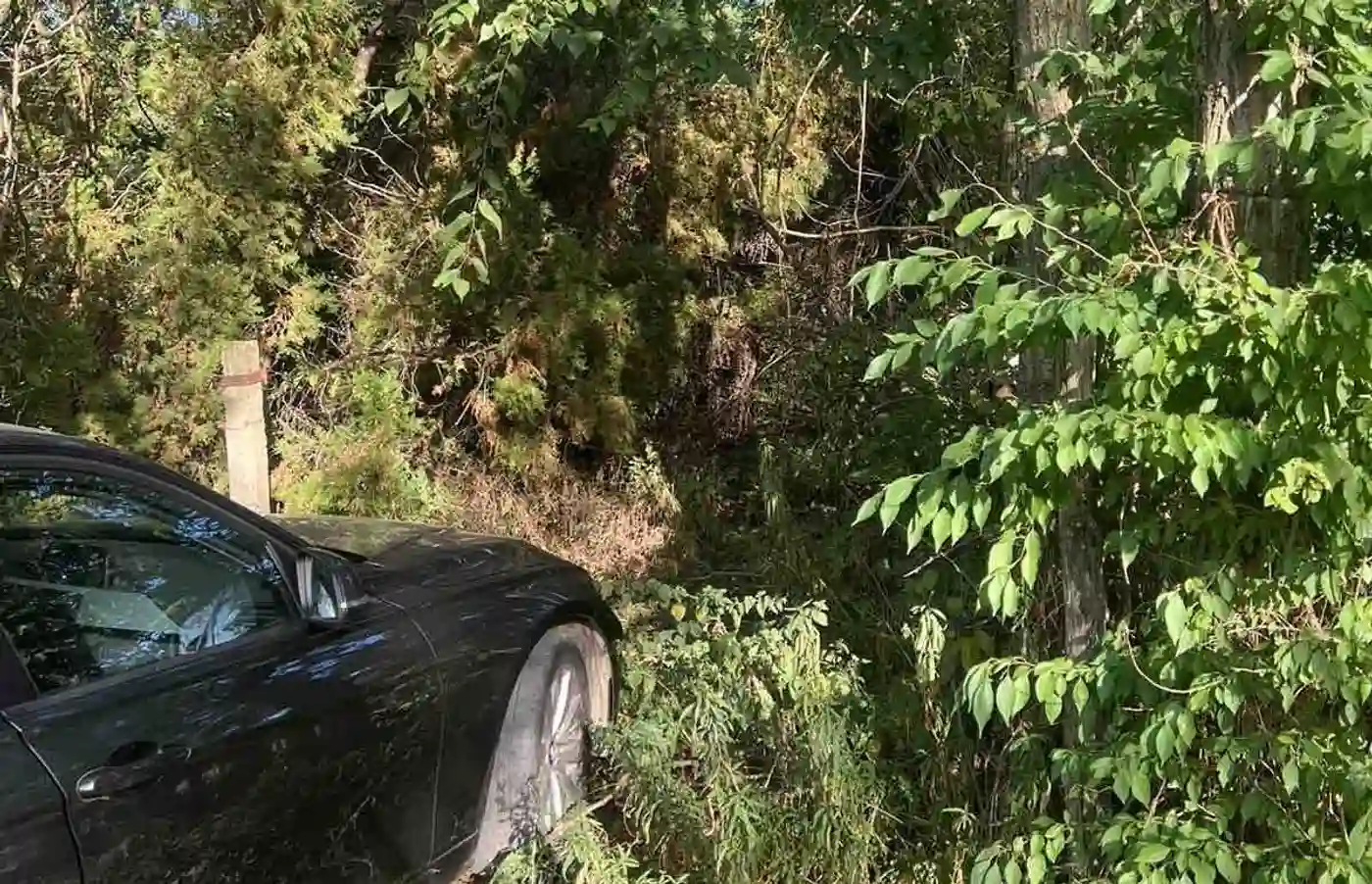 plac na prodaju Petrovaradin 2465m2 515899